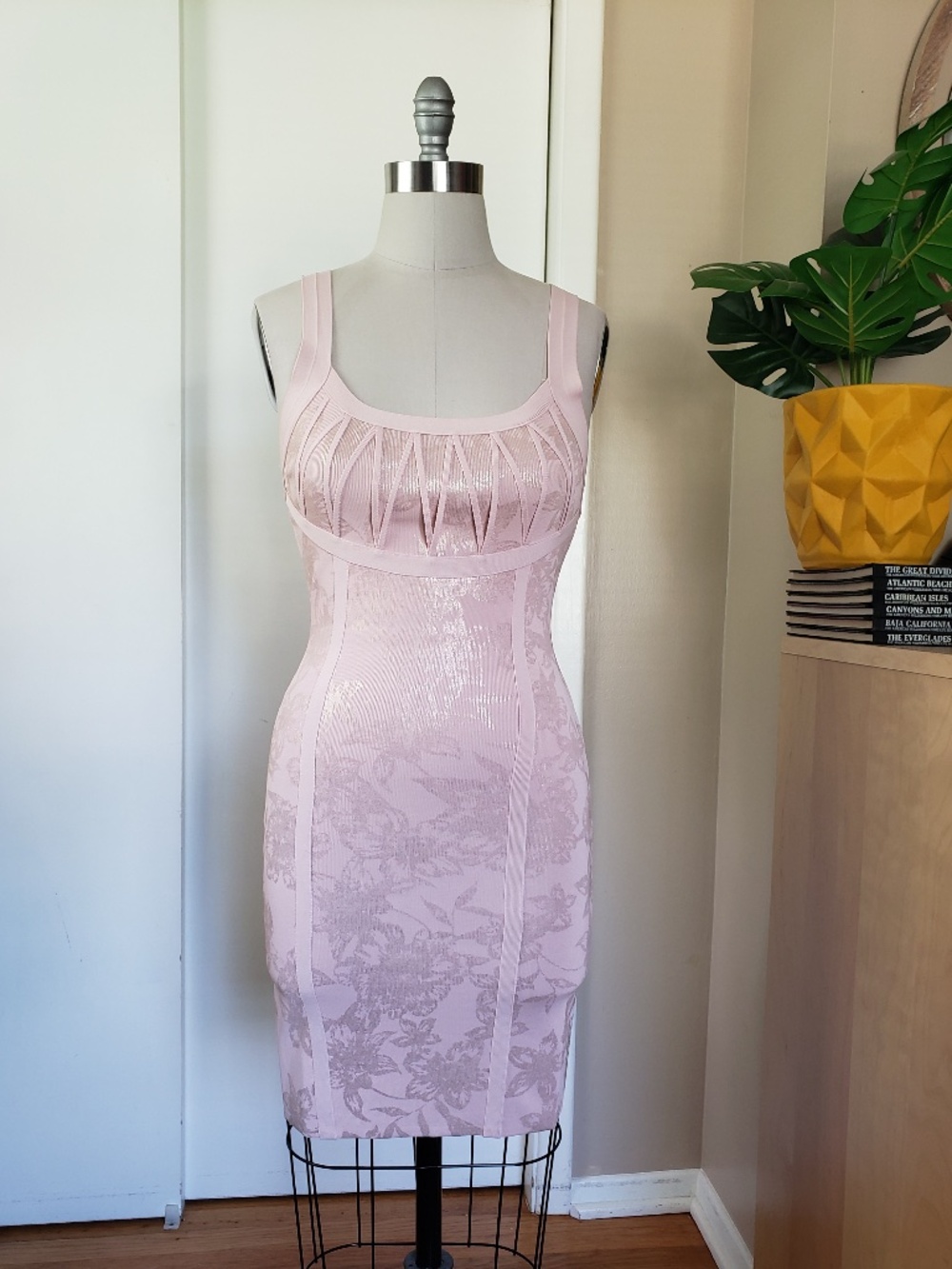 Blush Blossom Bodycon Size 8 NEW